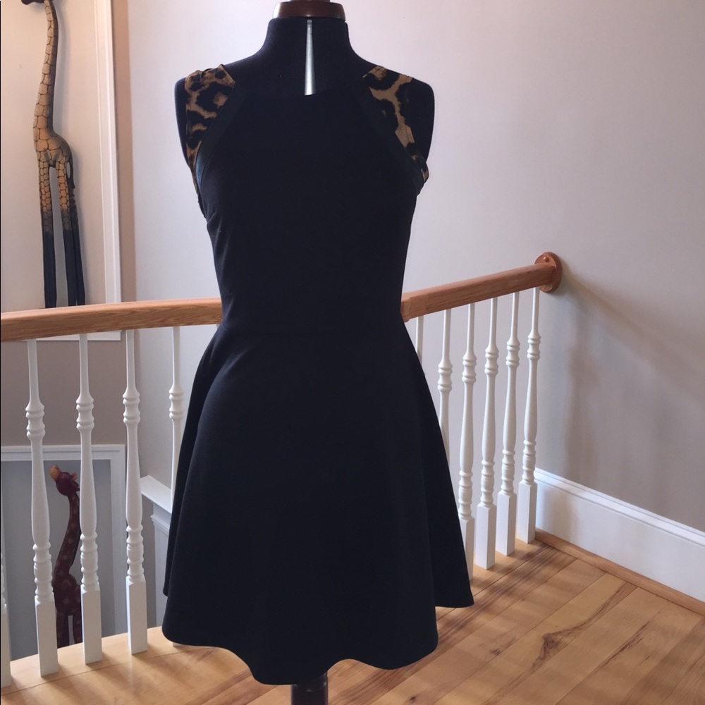 Skater dress