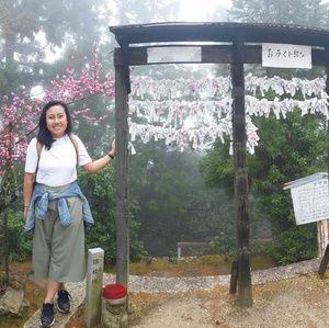 Meet your Posher, Jillian