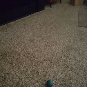 Meet your Posher, Linda