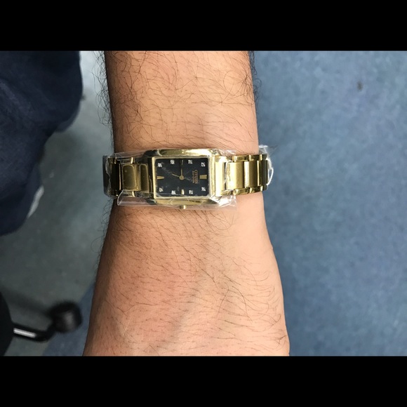 Citizen Eco-Drive palidoro 💎 & steel ladies watch