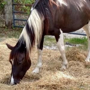 Meet your Posher, Lynn