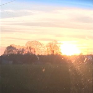 Meet your Posher, Ginger