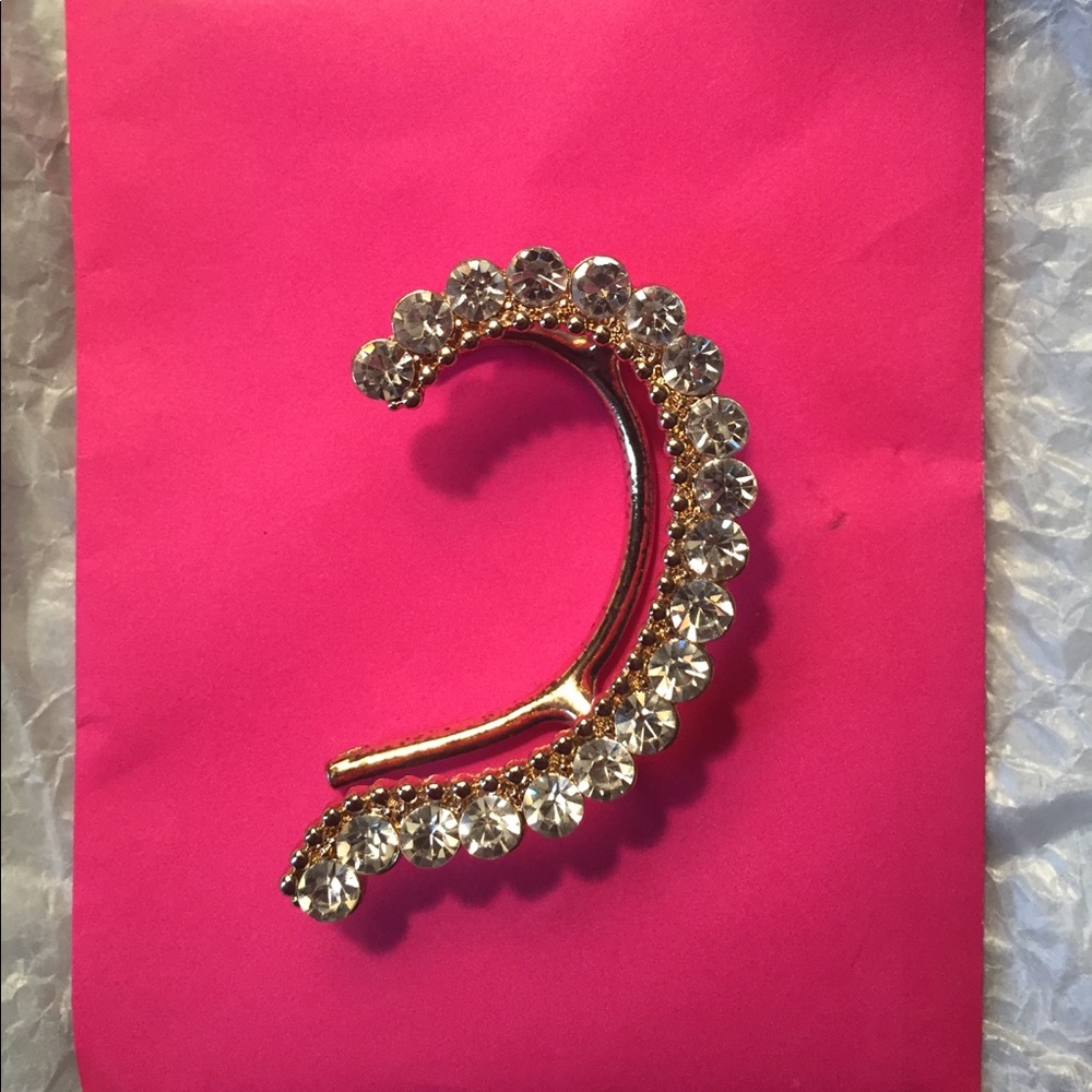 Aldo earcuff earring