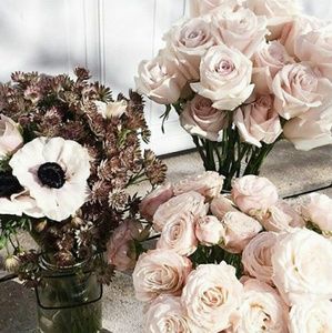 Meet your Posher, Imonie