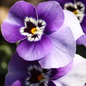 Meet your Posher, Katherine