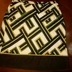 Ann Taylor skirt