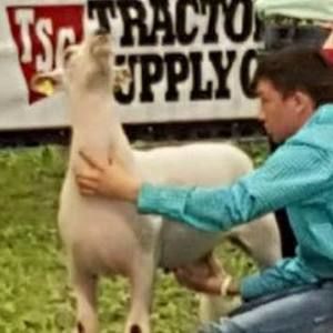 Meet your Posher, Dalton