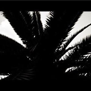 Meet your Posher, Christian