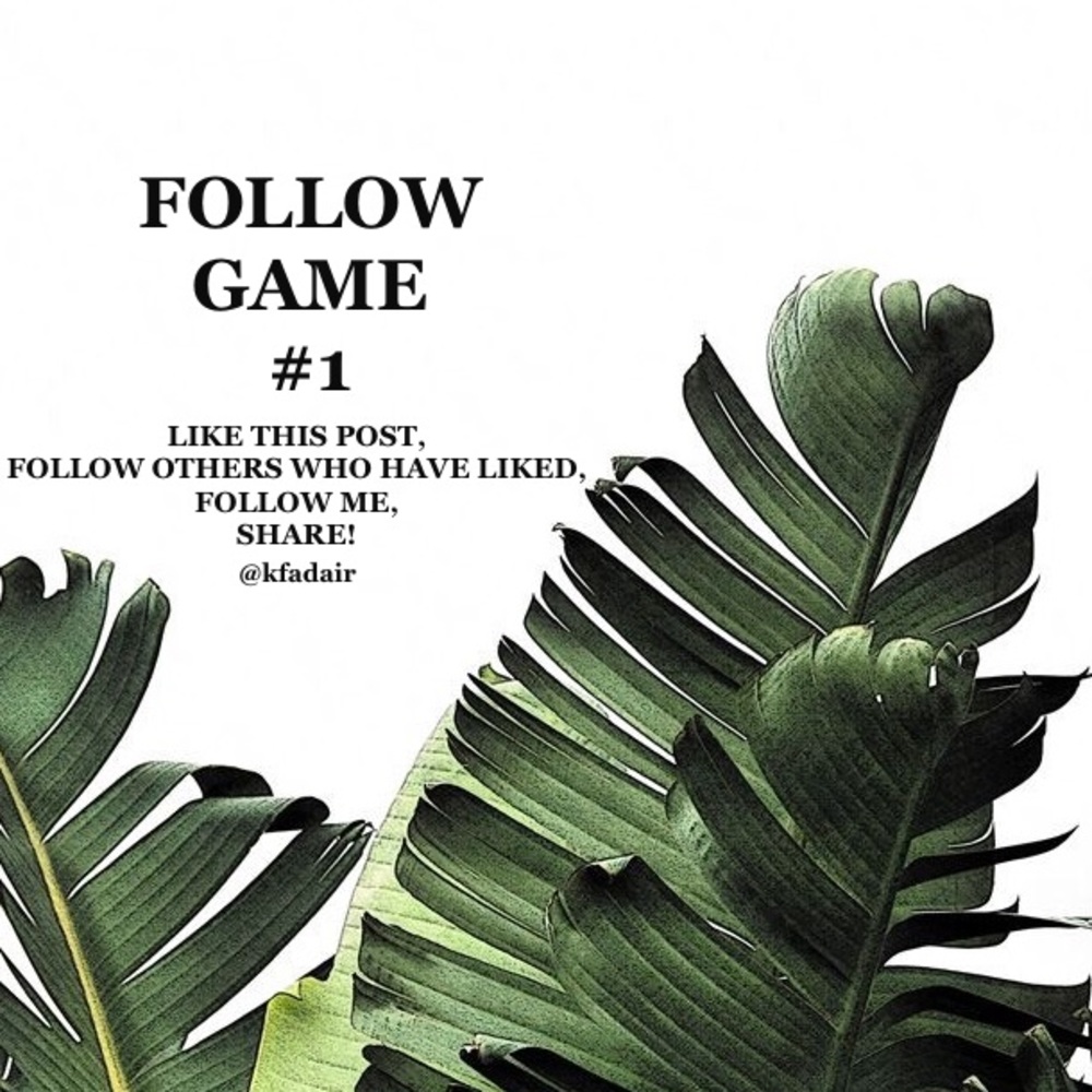 Follow Game #1 🌵