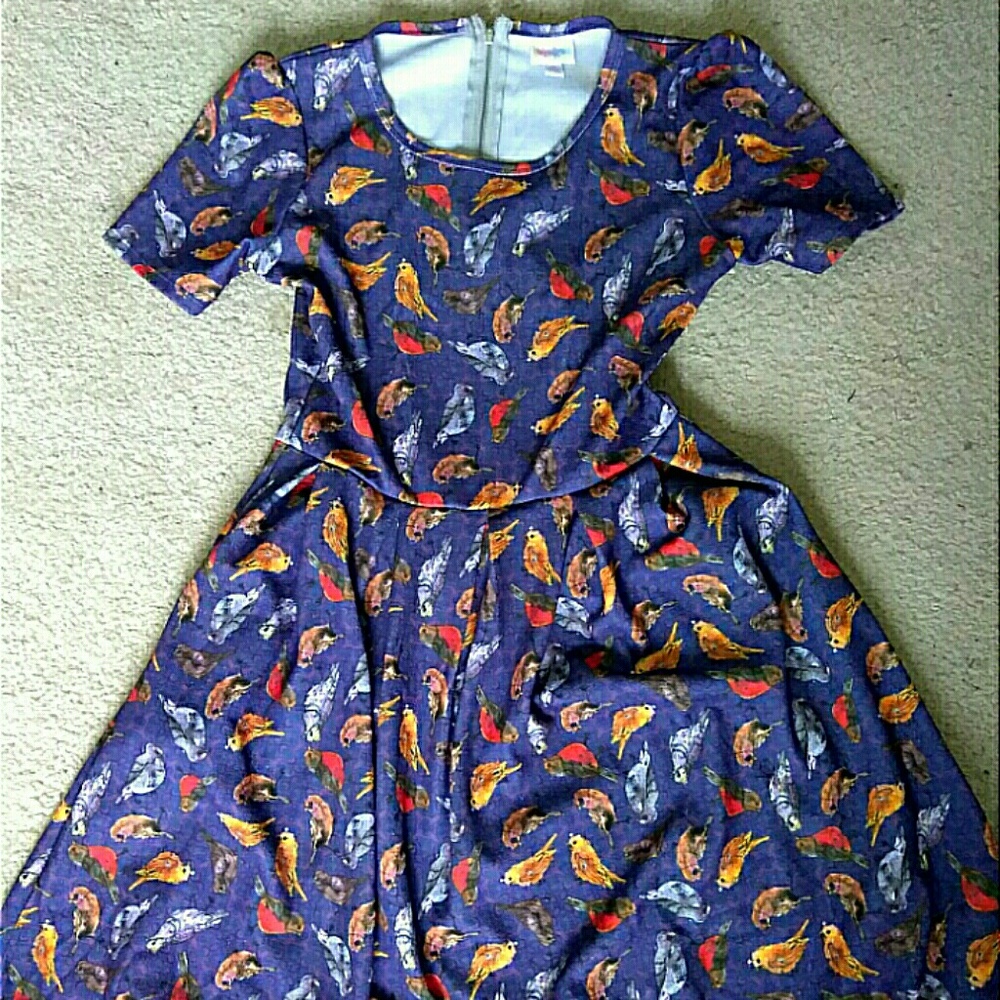 NWOT Lularoe Amelia dress