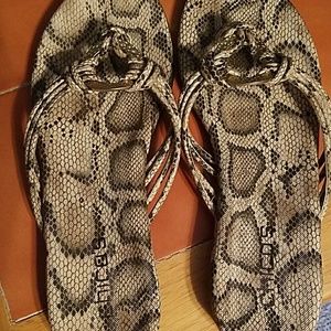 Super cute chico sandales