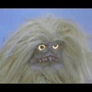 Meet your Posher, Sean