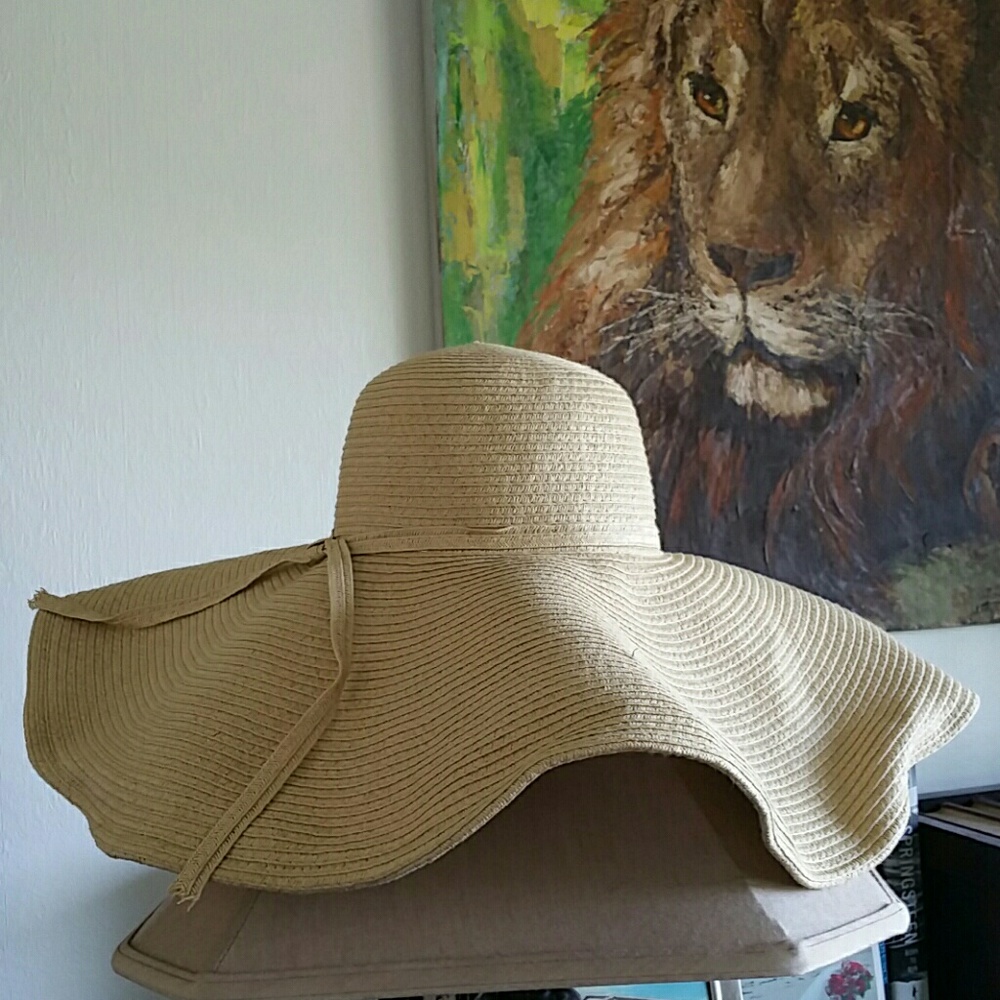 Fun Floppy Hat - image 1