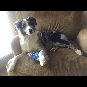 Meet your Posher, Rebecca