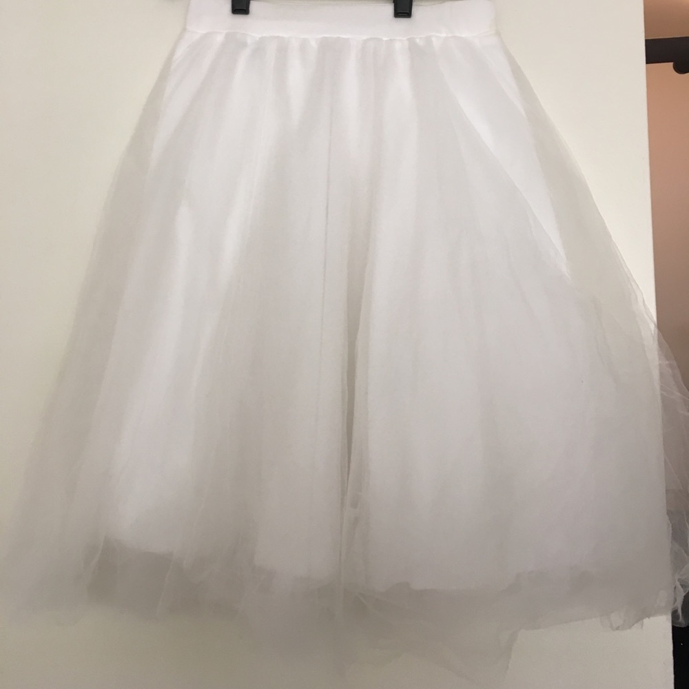 Tulle Skirt