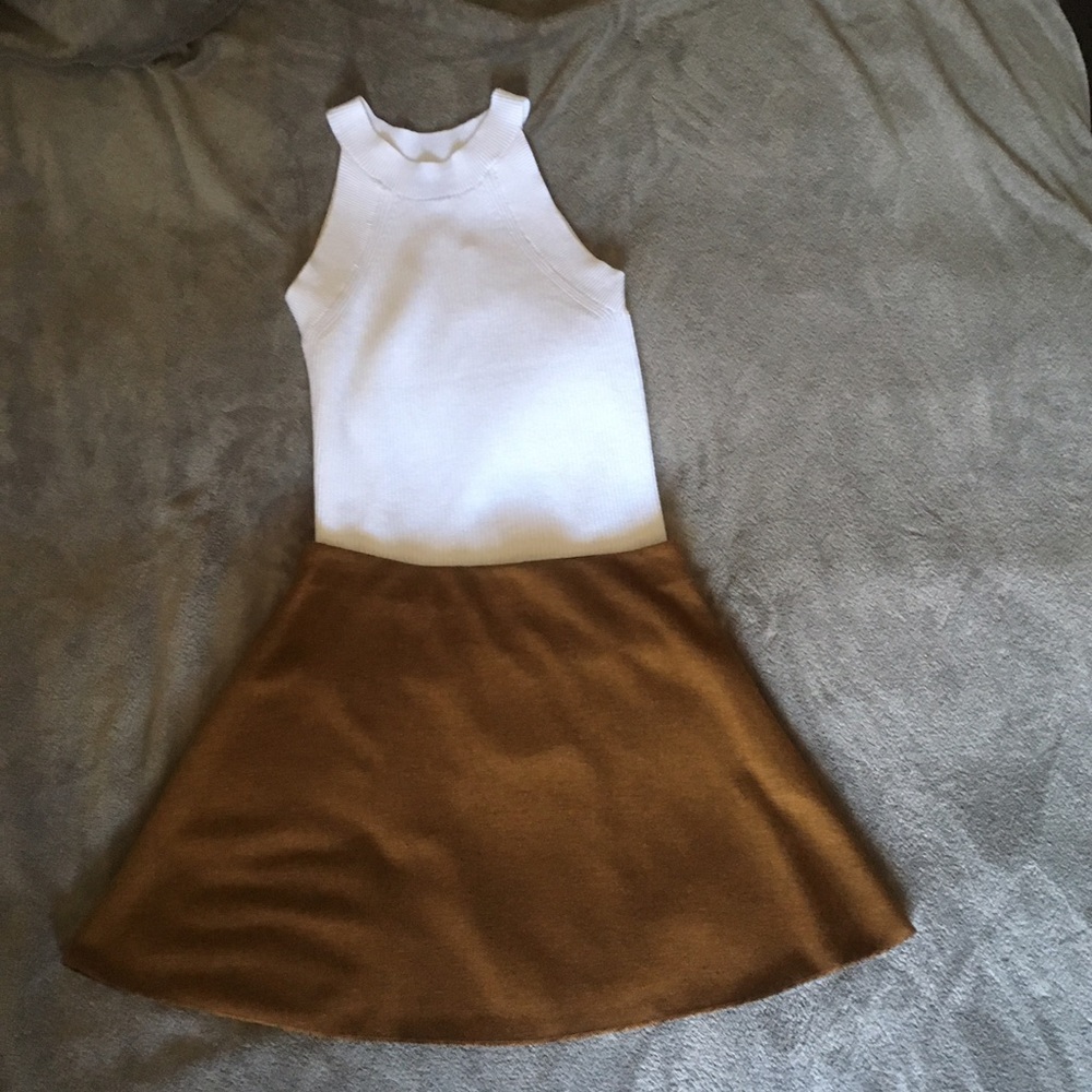 Zara Skater Skirt