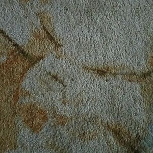 Meet your Posher, Troy