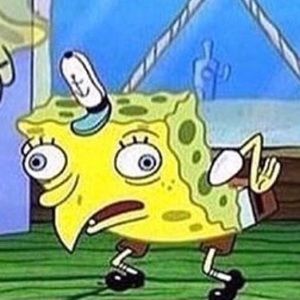 Meet your Posher, Conner