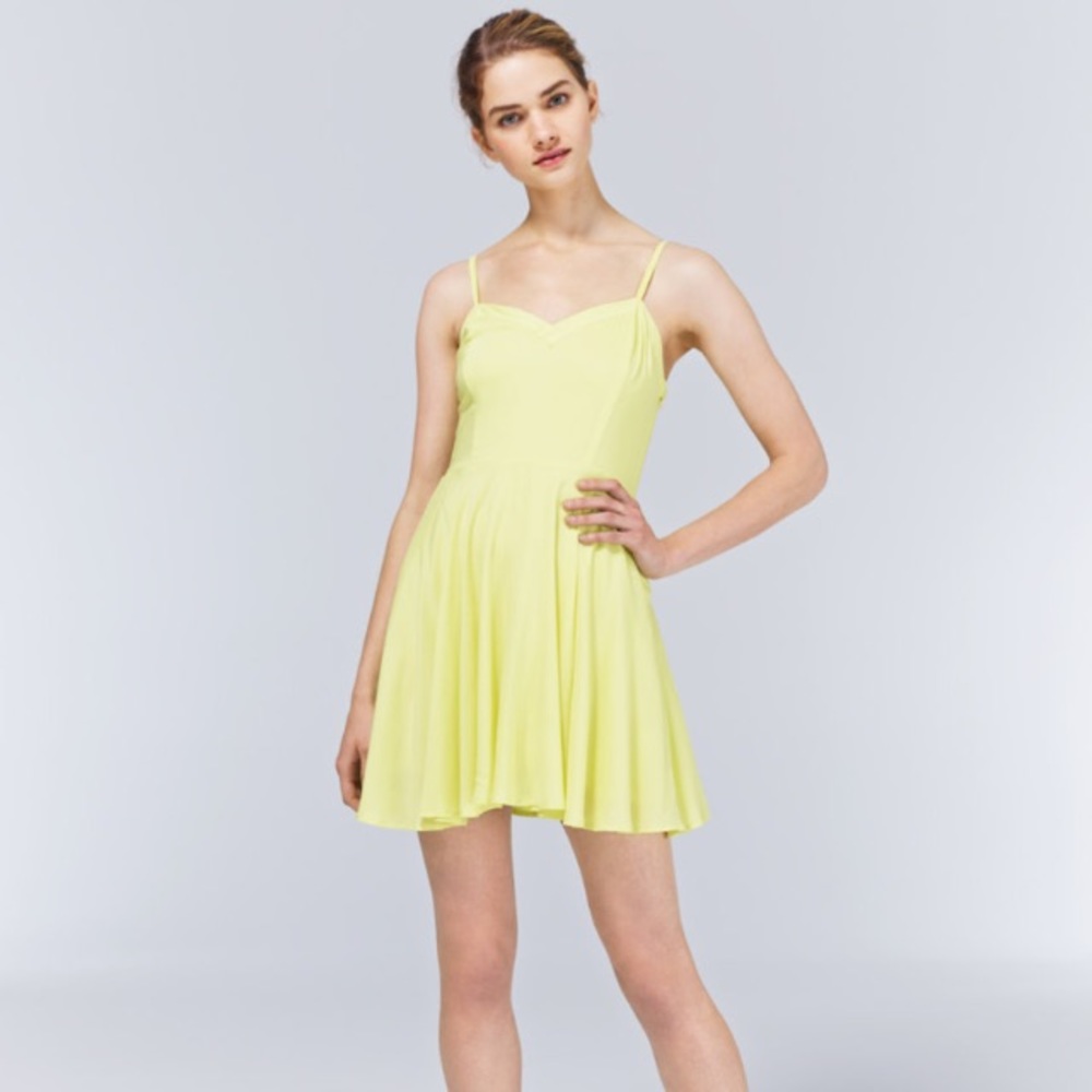 Aritzia Lipinski Skater Dress