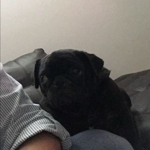 Meet your Posher, Sergio