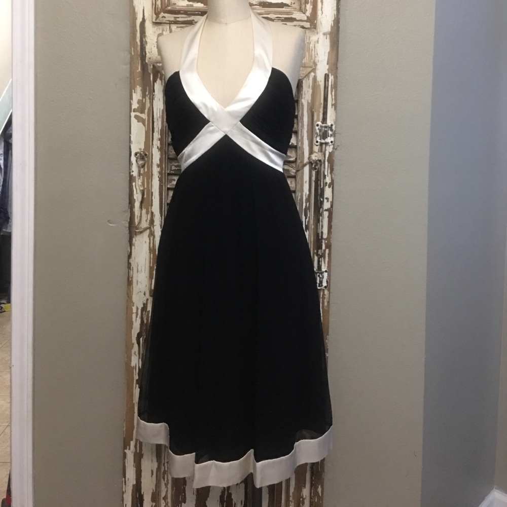 Maggy London Silk Dress