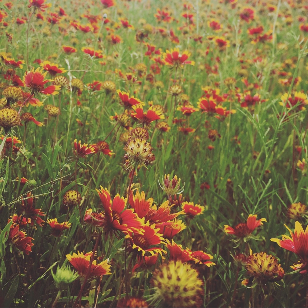 Meet Your Posher, Cynthia