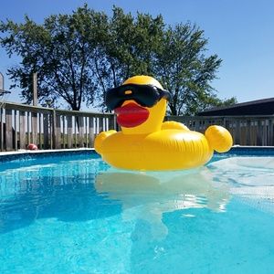 Meet your Posher, Vickie