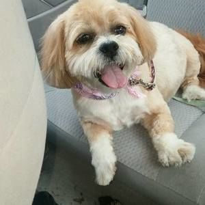 Meet your Posher, Rich