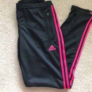 Adidas Trio Training Pant (Pink)