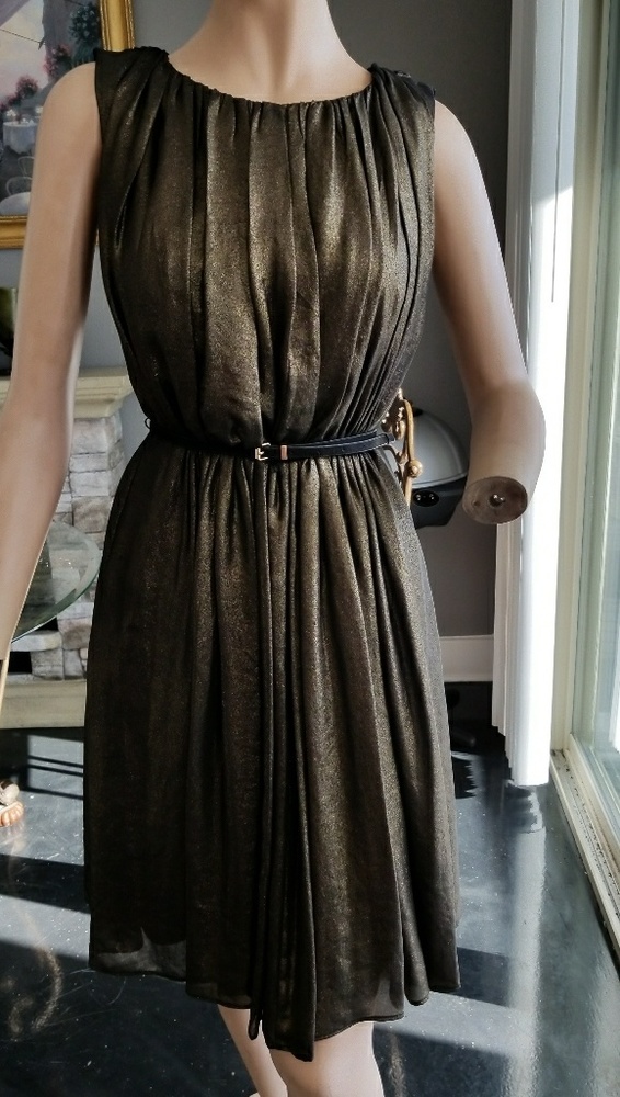 Calvin Klein Dress, with belt, sheer material