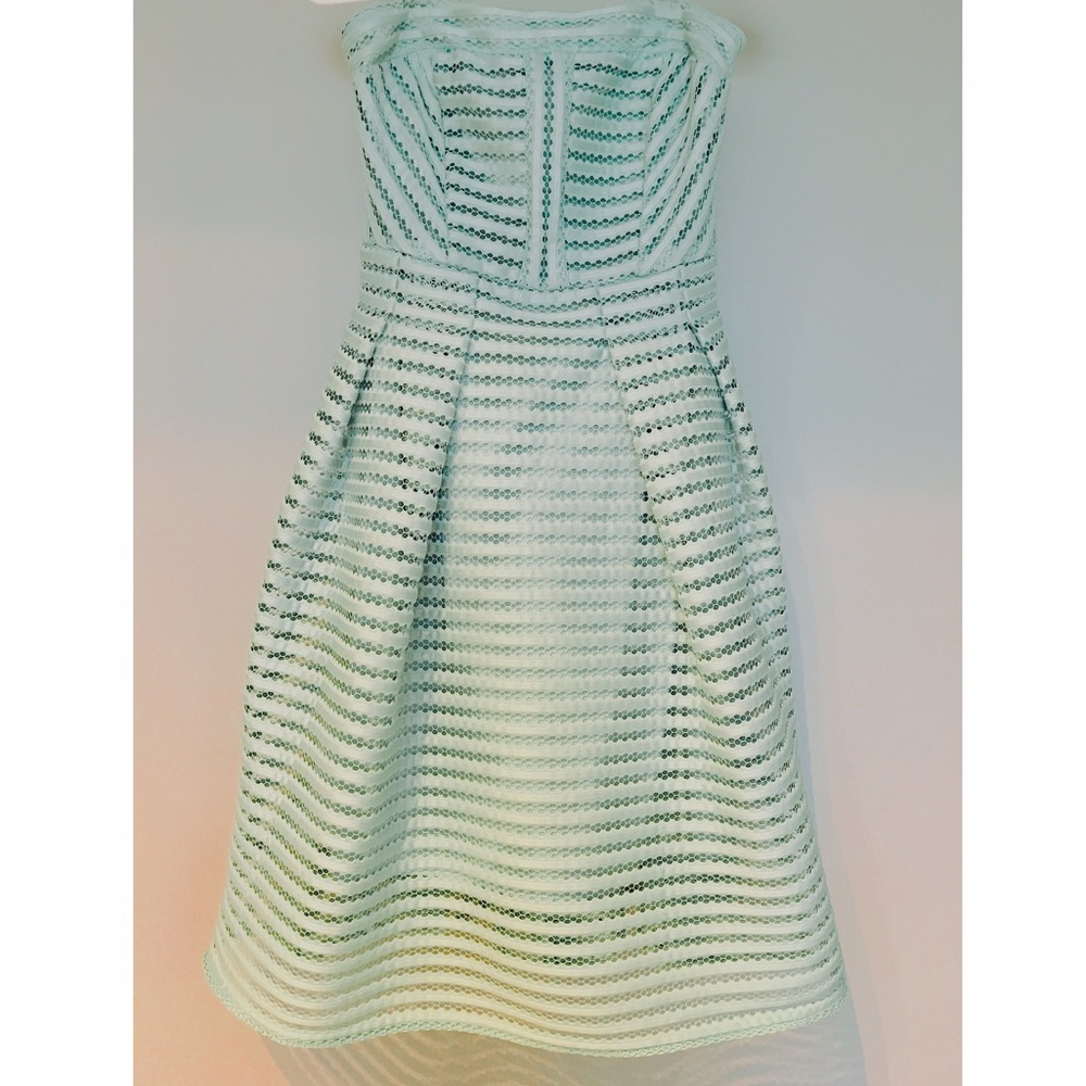 Strapless Mid length teacup style dress