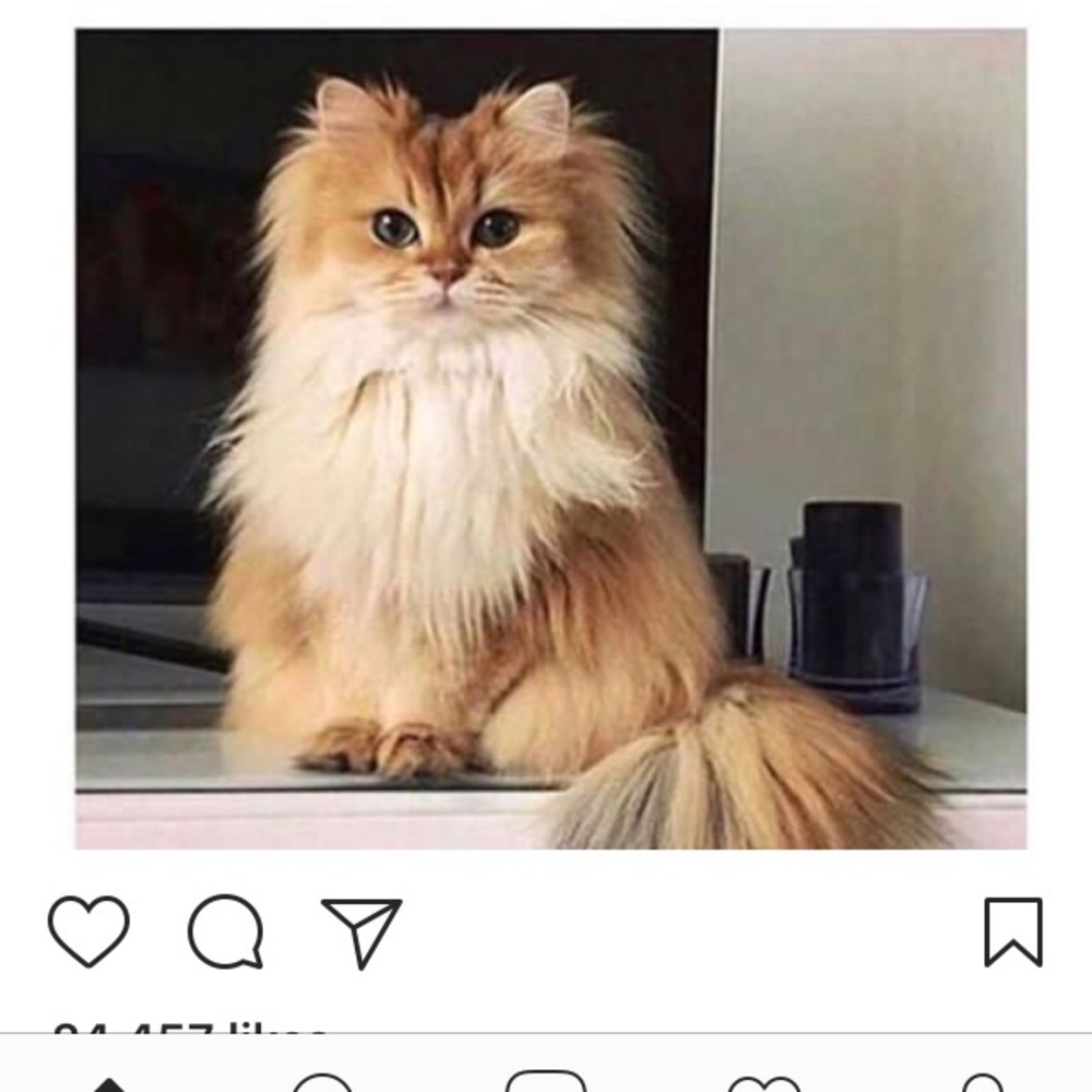 Meet your Posher, Ashanti