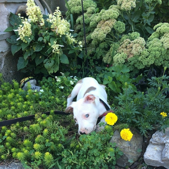 Meet your Posher, Sheri - Picture 8 of 8