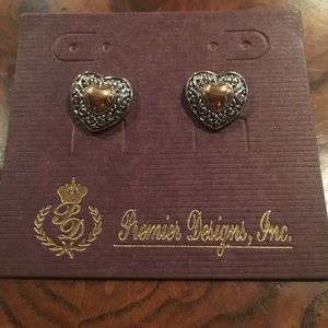 Two Toned Post Earrings