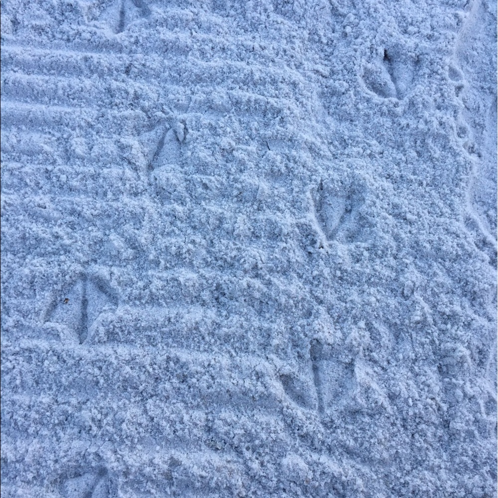 Meet your Posher, Ana maria