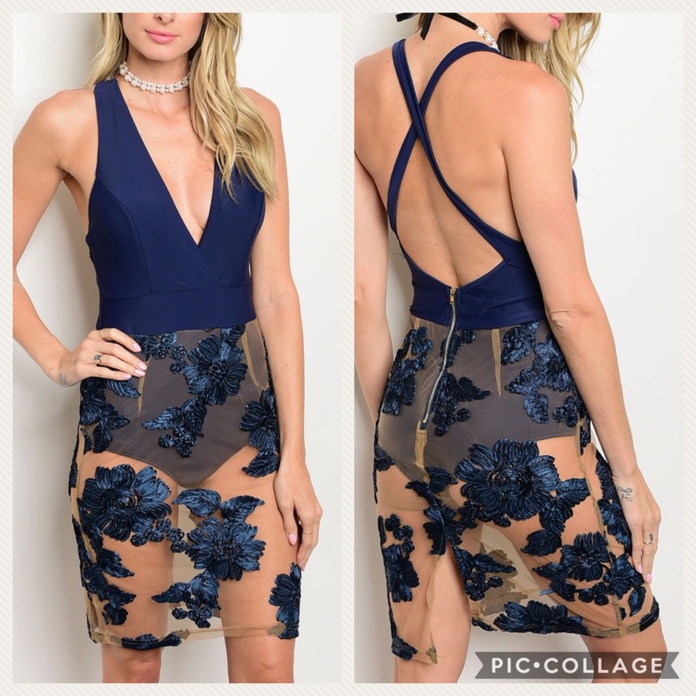 Blue Vneck Embroidered Mesh Dress, Size Small
