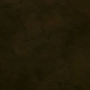 Meet your Posher, Will