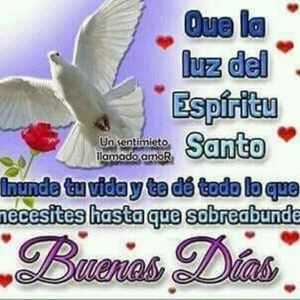 Meet your Posher, Mildred