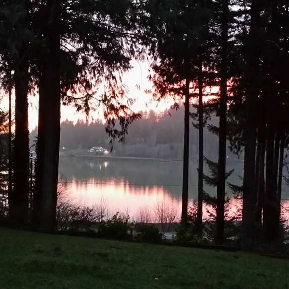 Meet your Posher, Dottie - Picture 2 of 6