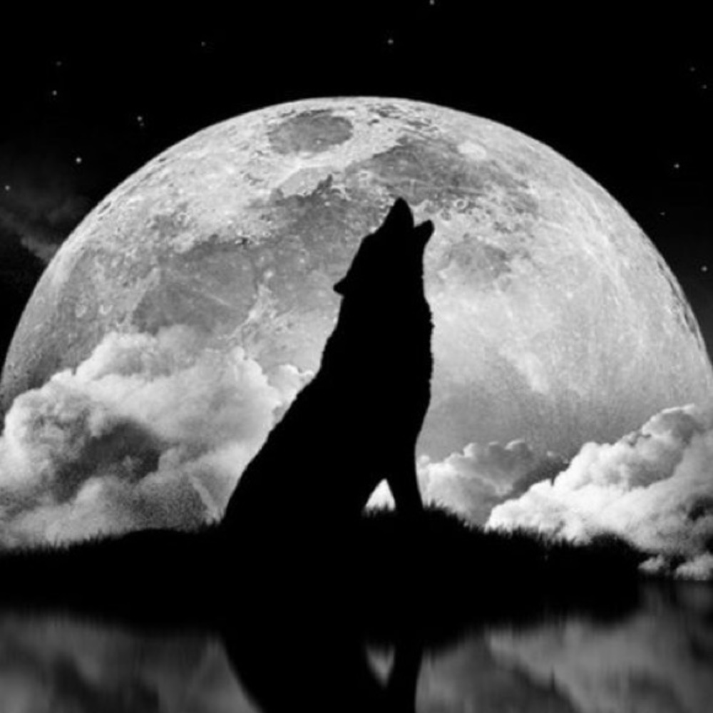 Meet your Posher, Julissa