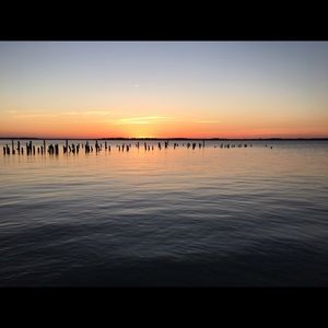 Meet your Posher, Bill