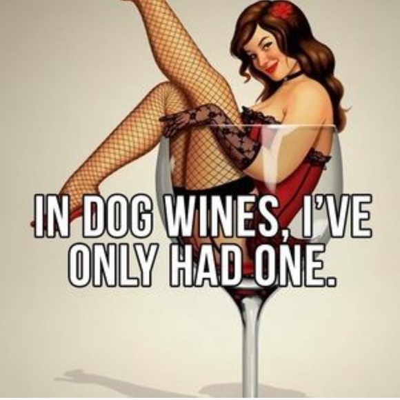 POSH AMBASSADOR II ! - Picture 7 of 8