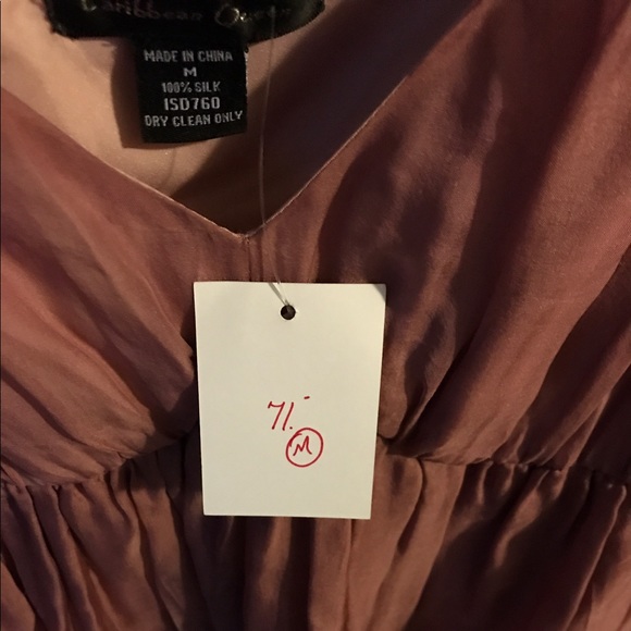 NWT Blush Colored Dress - Picture 4 of 4