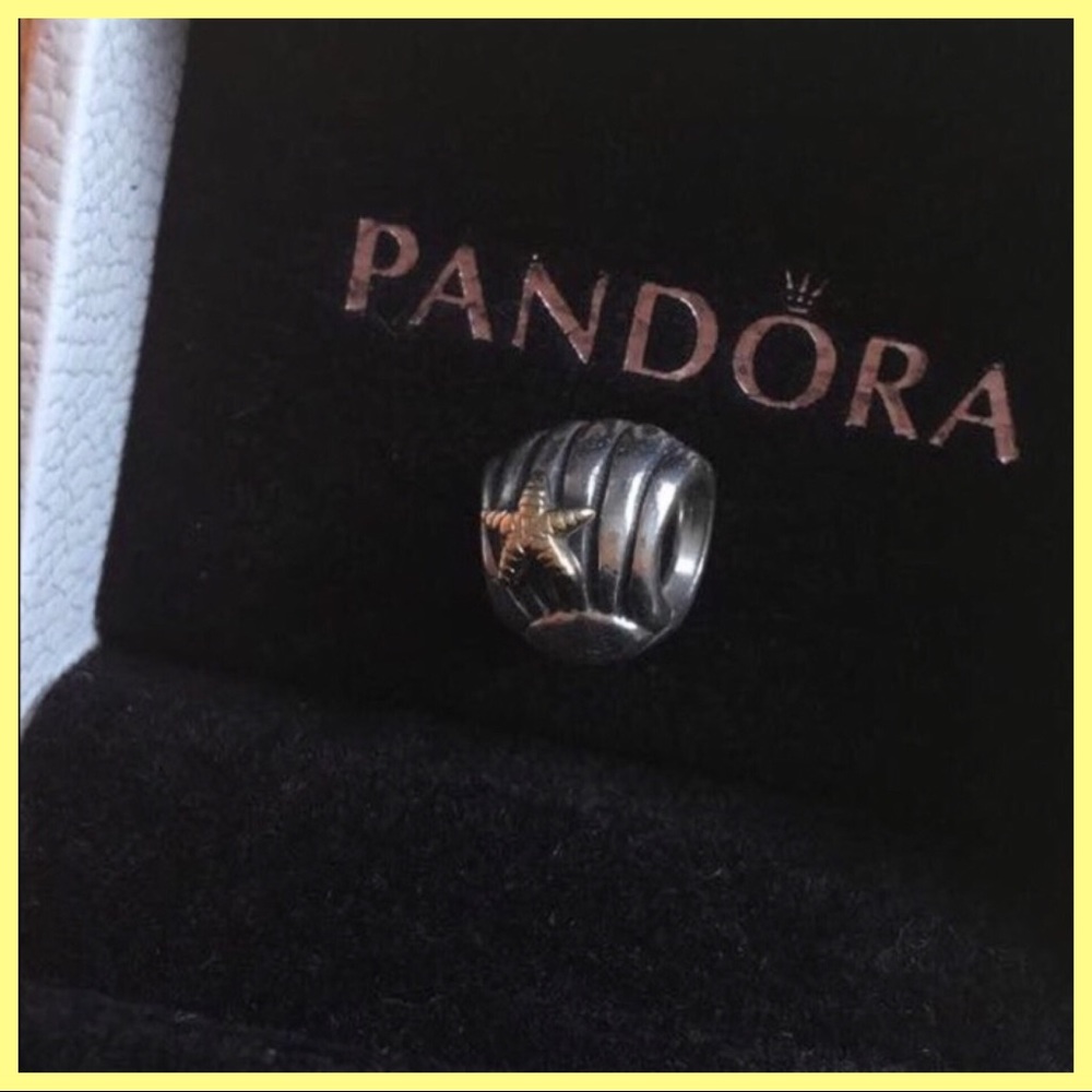 Two tone Seashell charm