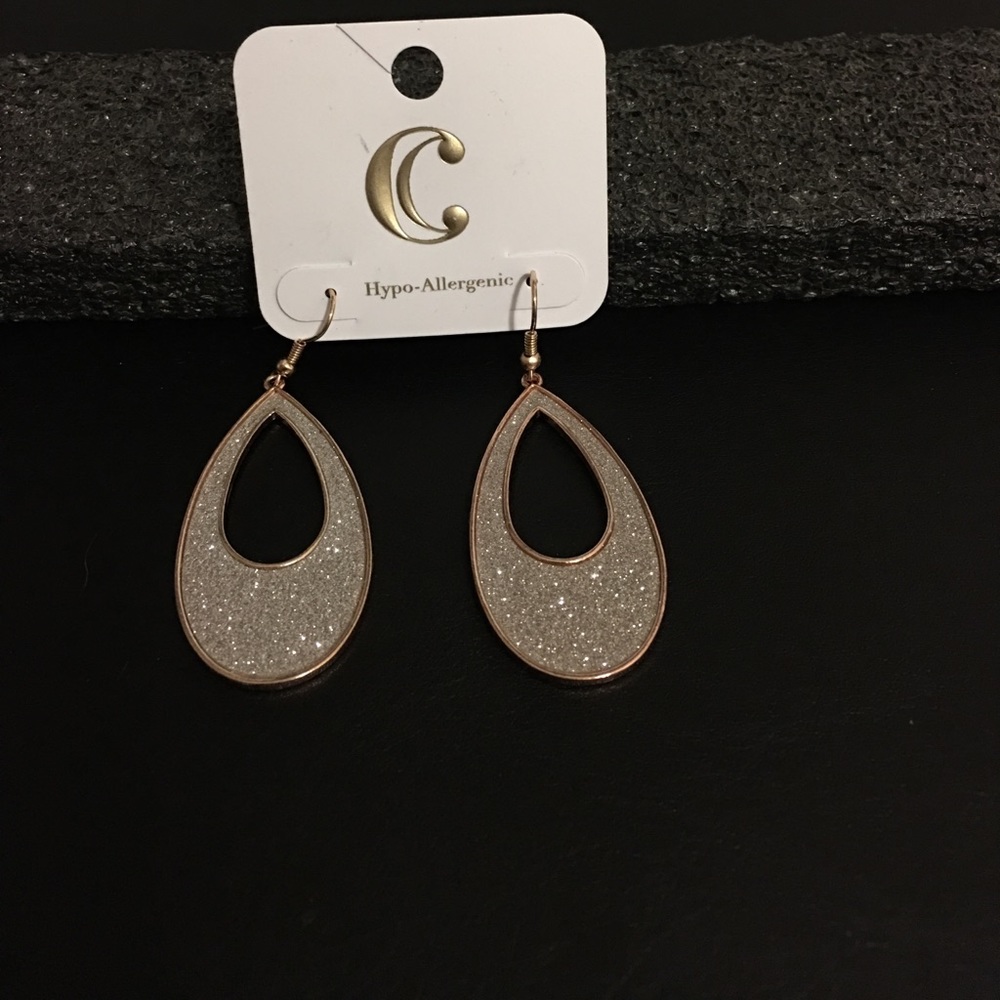 NWT Charming Charlie Oval Earrings
