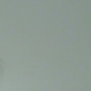 Meet your Posher, Shasta