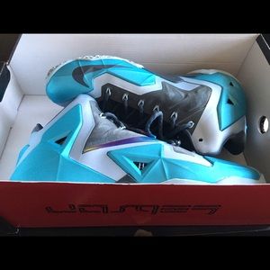 Lebron 11s Size 11