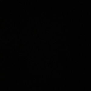 Meet your Posher, Oscar