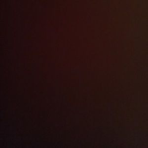 Meet your Posher, Deondria