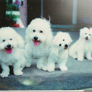 Meet your Posher, Sherry